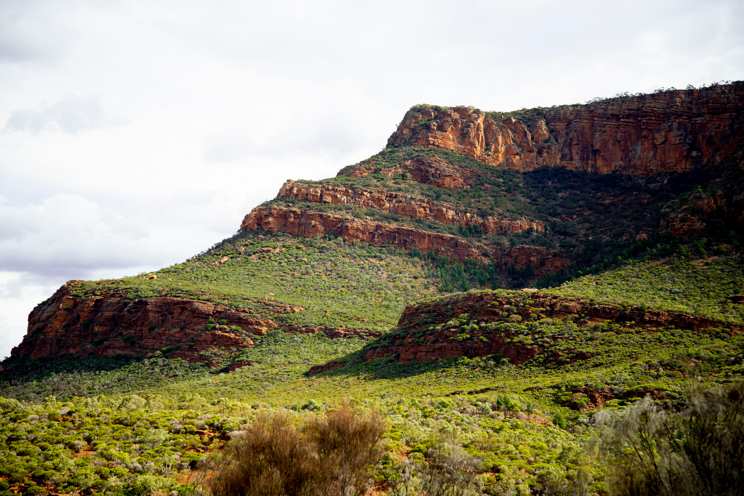 wilpena pound, ikara-flinders ranges national park, south australia (4).webp